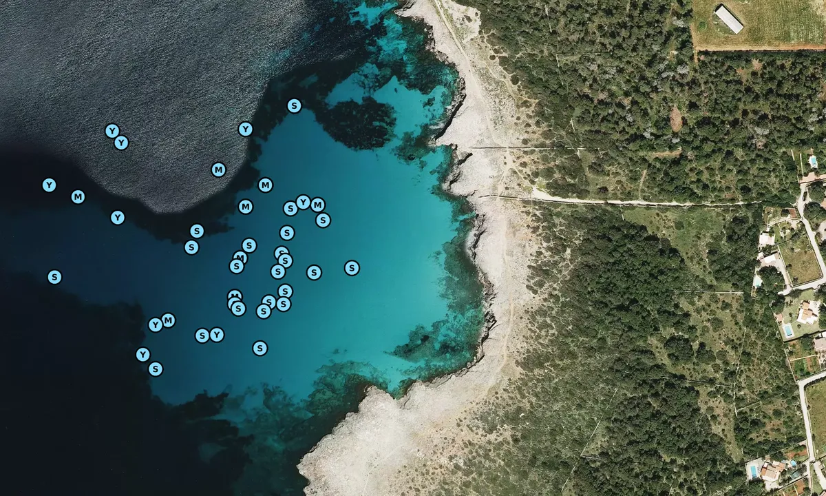 Satelite image of S'aigua dolça