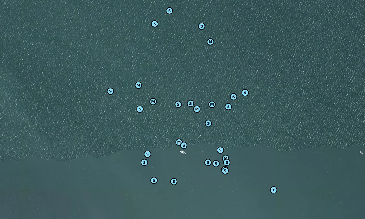 Satelite image of Saint-Martin de Ré