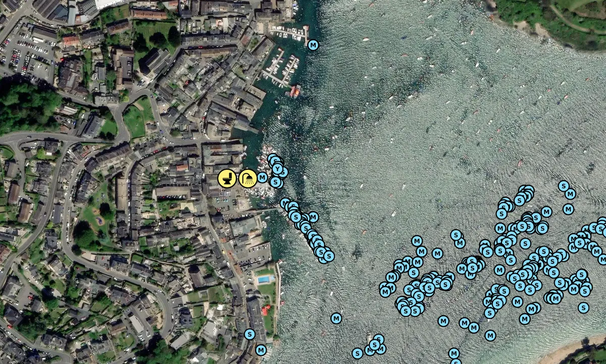 Satelite image of Salcombe Harbour