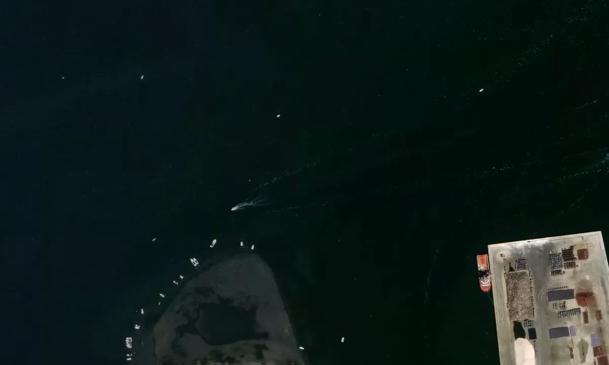 Satelite image of Saline Chioggia