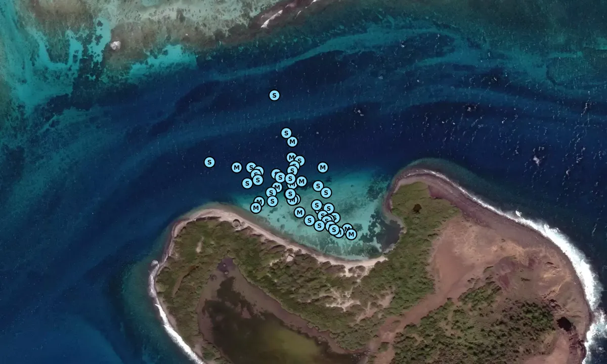 Satelite image of Saline Island