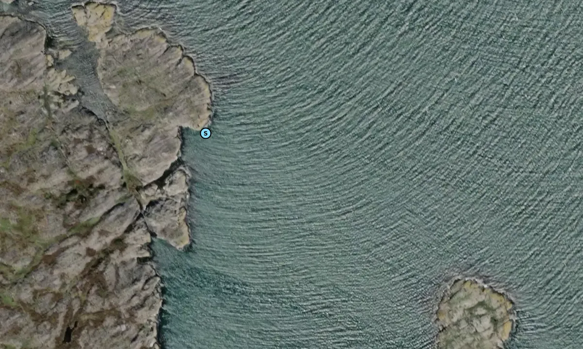 Satelite image of Sälsön