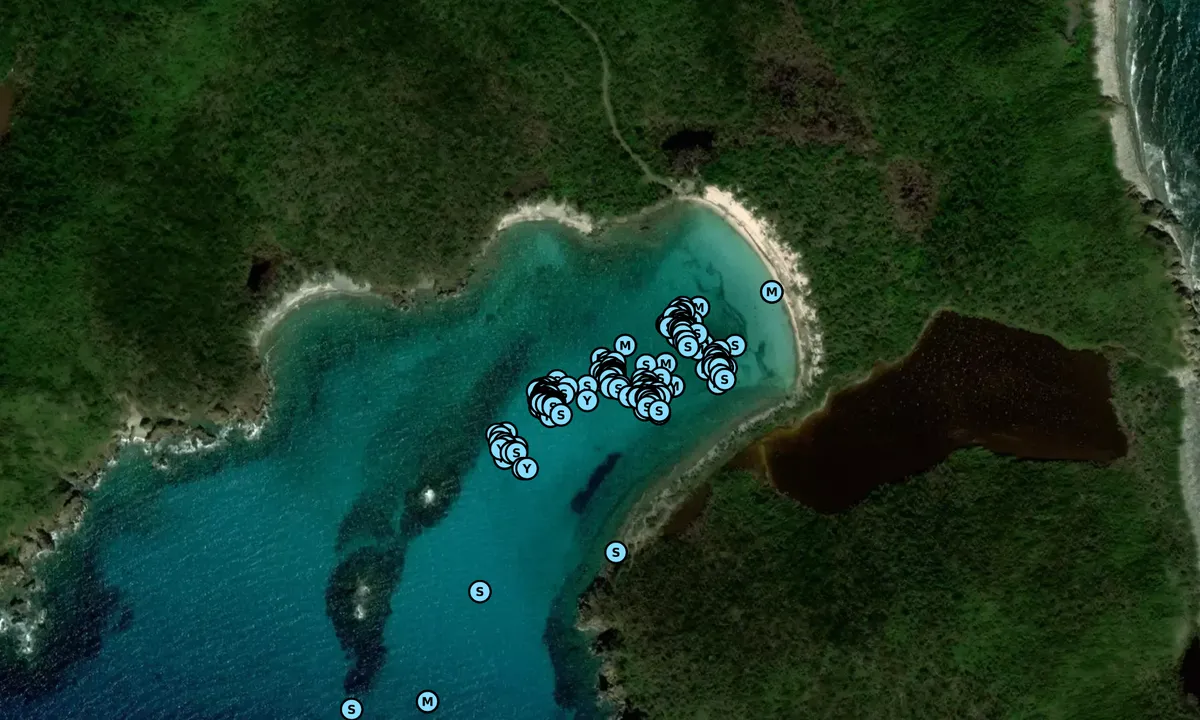 Satelite image of Salt Pond Bay