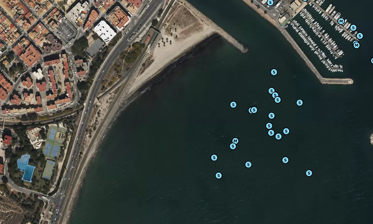 Satelite image of San Gabriel