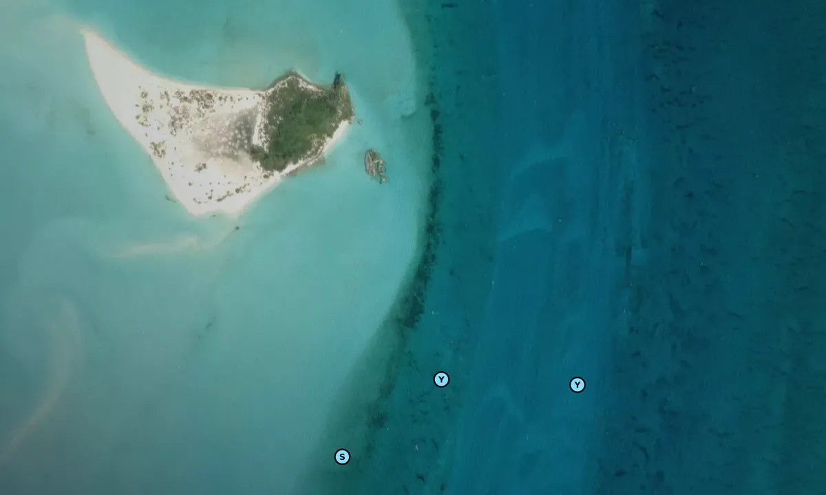 Satelite image of Sand Cay Island