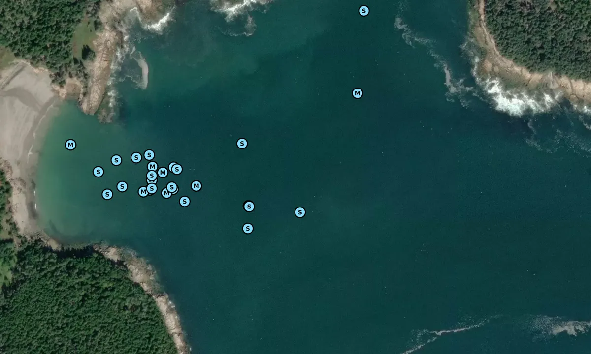 Satelite image of Sand Cove
