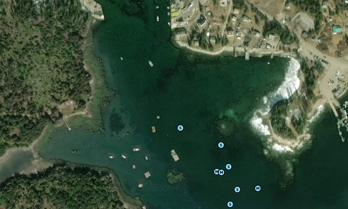 Satelite image of Sand Cove - Vinalhaven