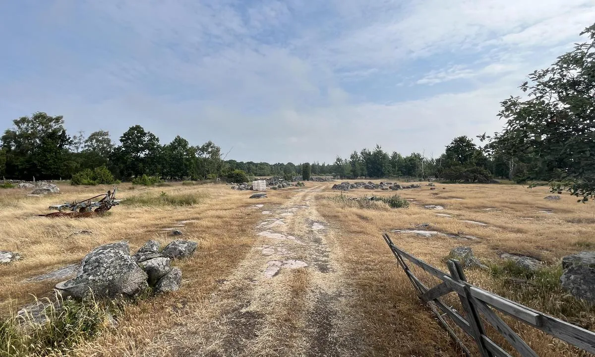 Sandhamn: Fra odden