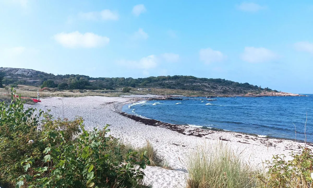 Sandvig Havn