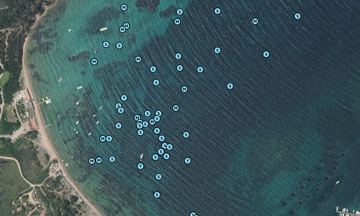 Satelite image of Sant' Amanza