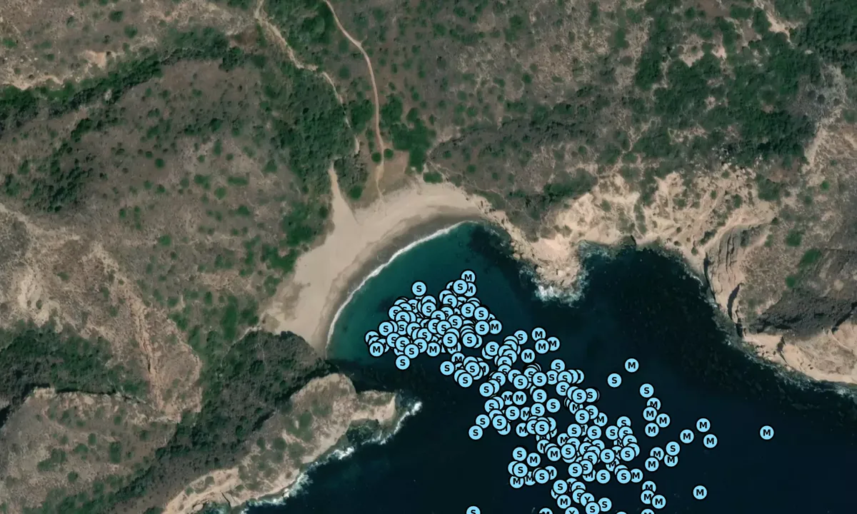 Satelite image of Santa Cruz Island