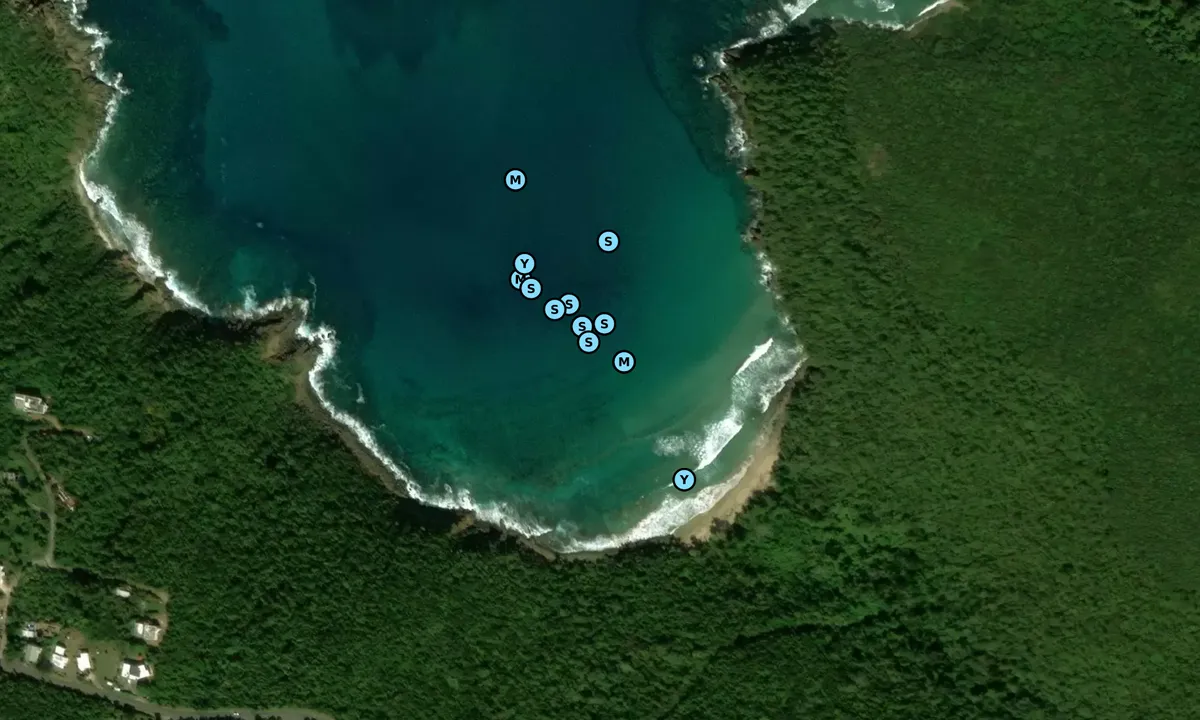 Satelite image of Santa Maria Bay