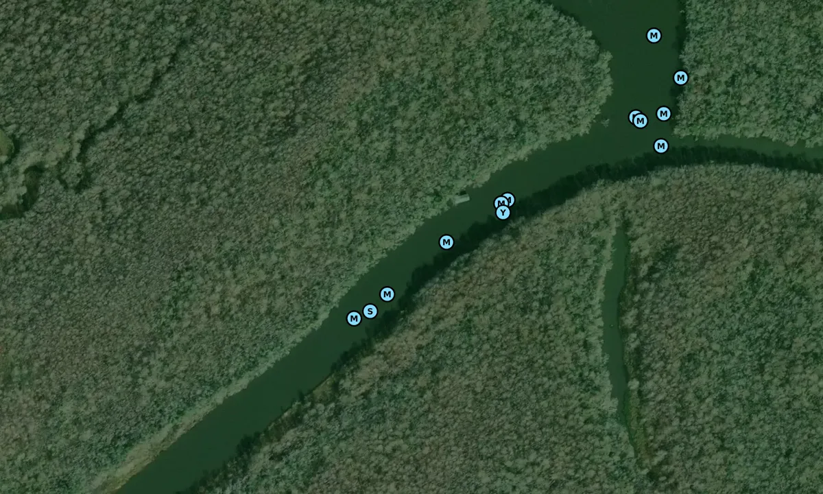 Satelite image of Saul Creek - 1