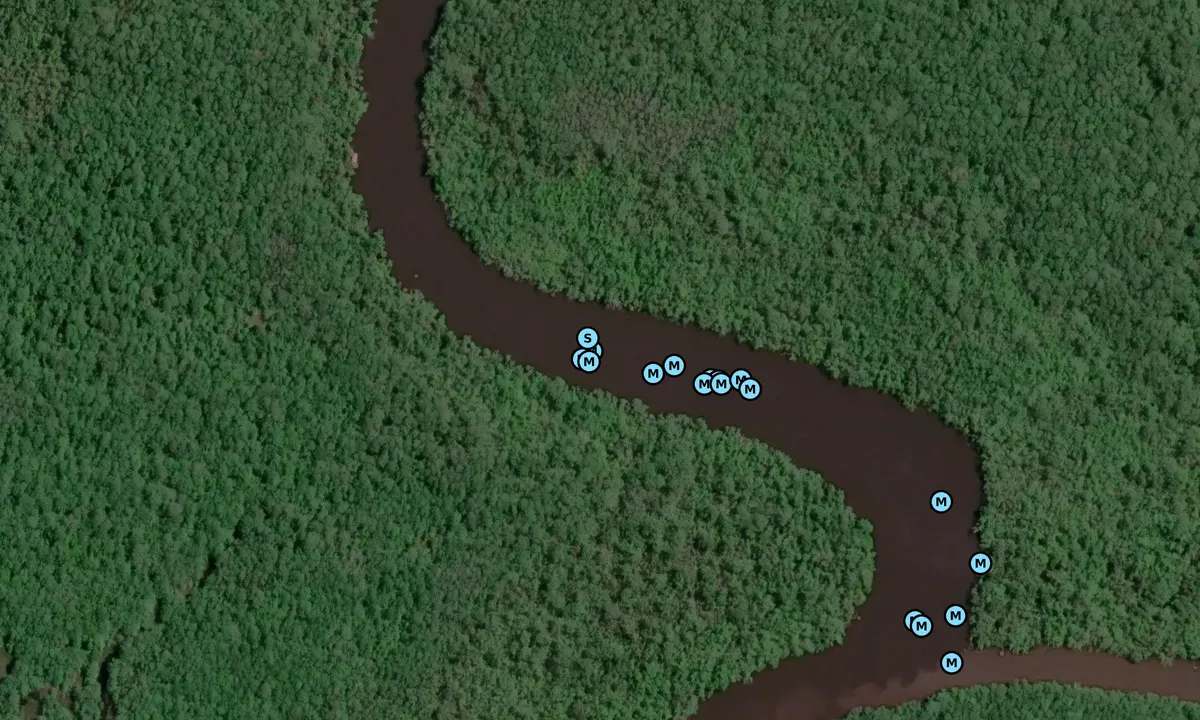 Satelite image of Saul Creek - 2