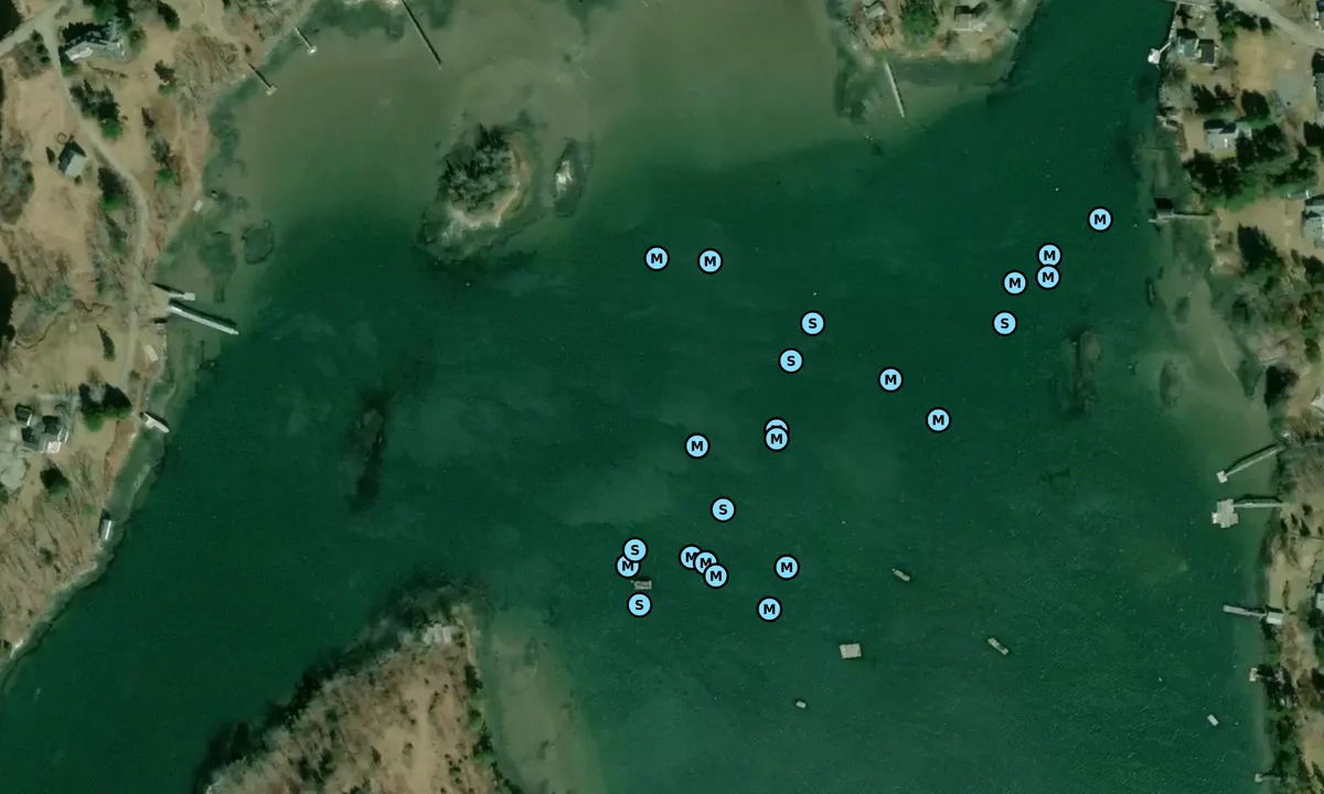 Satelite image of Sawyer Island