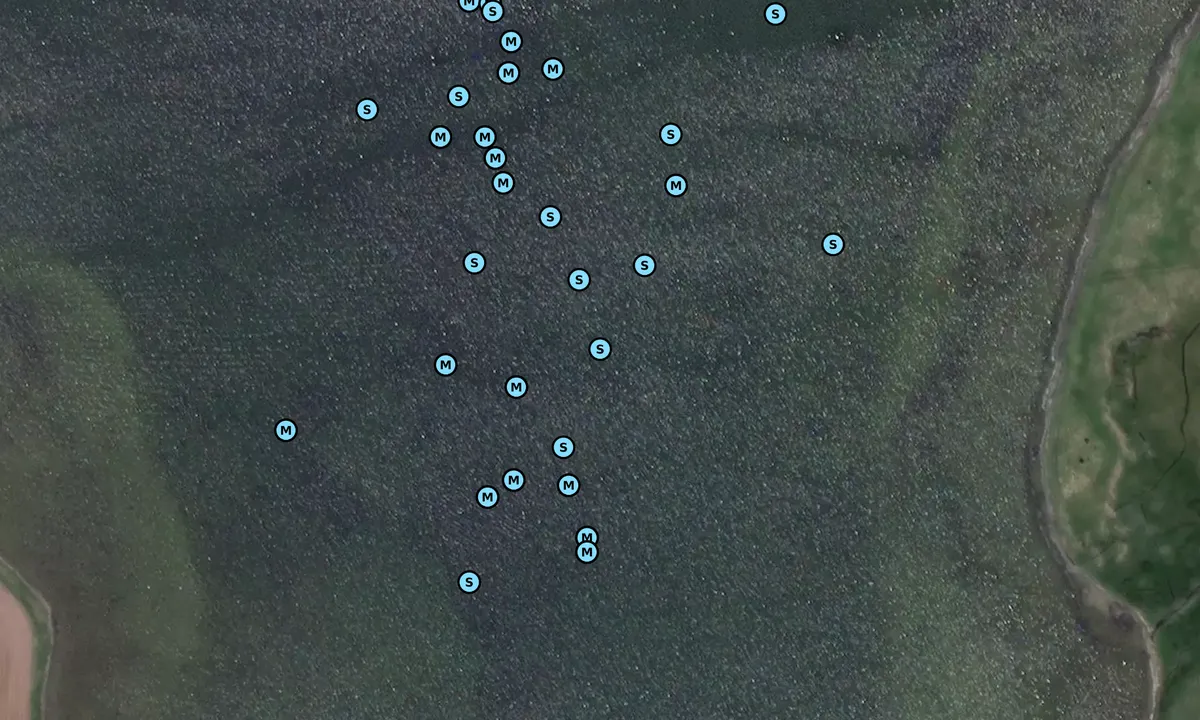 Satelite image of Schlei