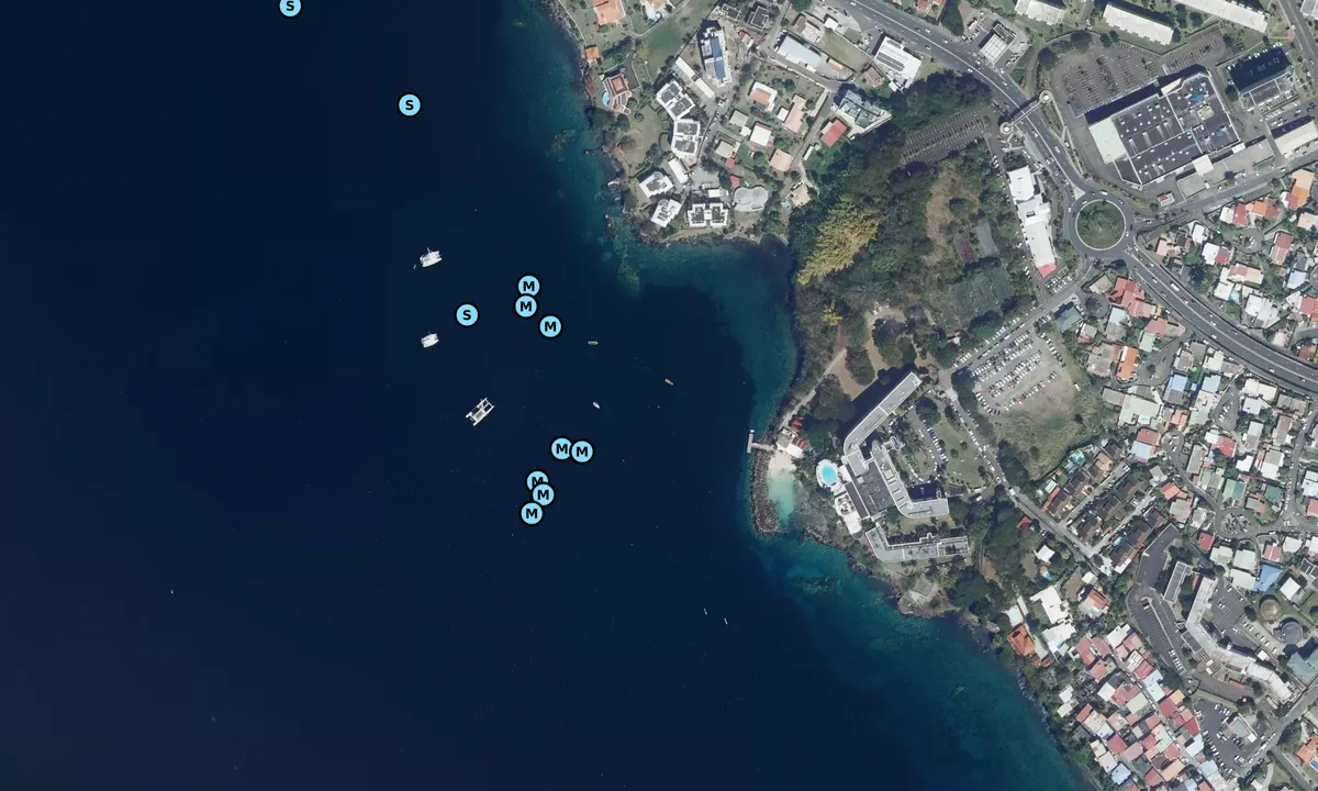 Satelite image of Schoelcher