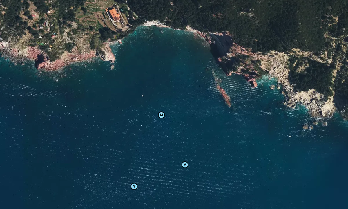 Satelite image of Scoglio Galera - Campiglia