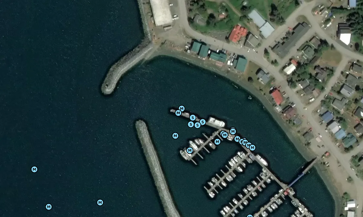 Satelite image of Seldovia Small Boat Harbor