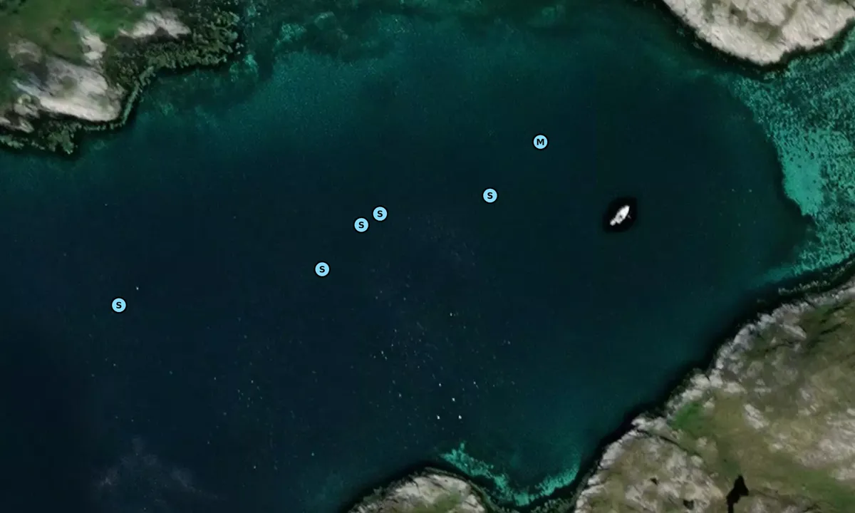 Satelite image of Selvågen