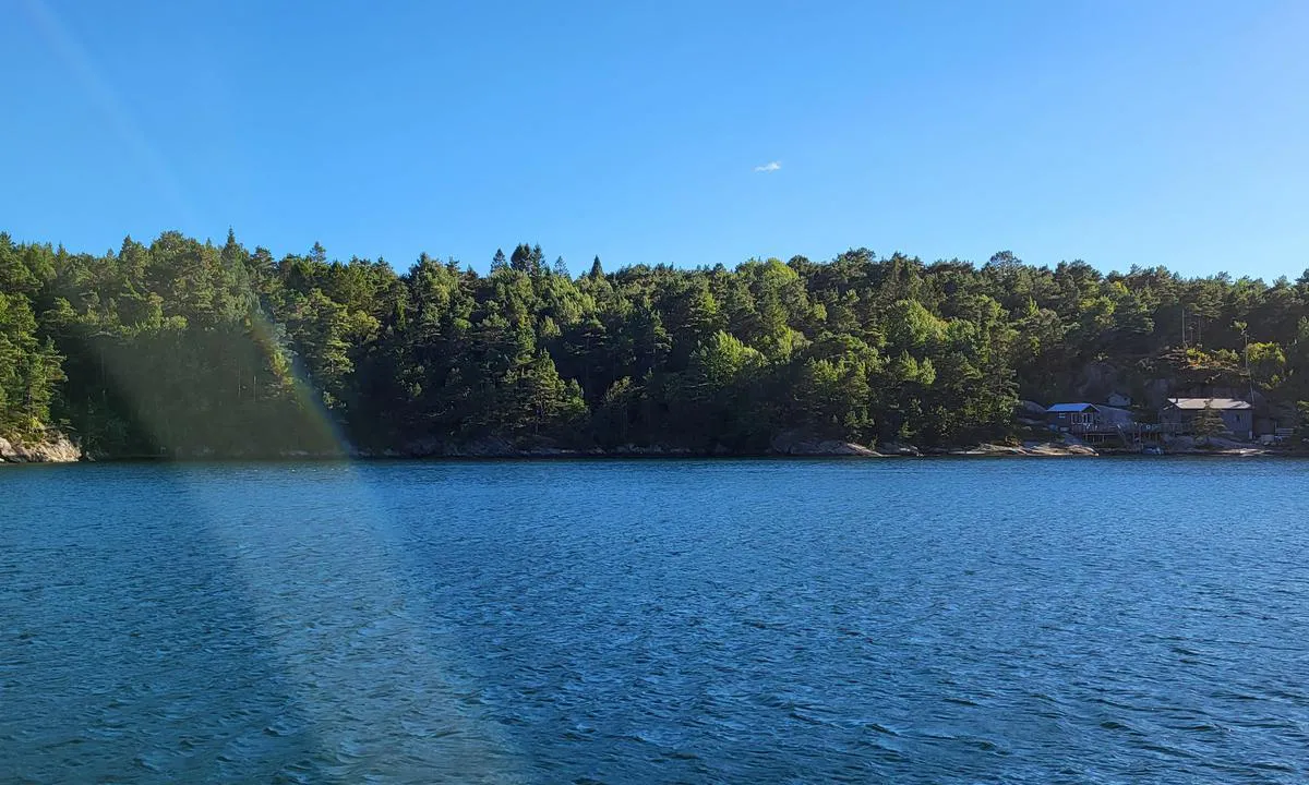 Selvågen - Mandal: En brygge innerst i viken i venstre billedkant. Har ett skilt, men ikke sikker på hva det sier.