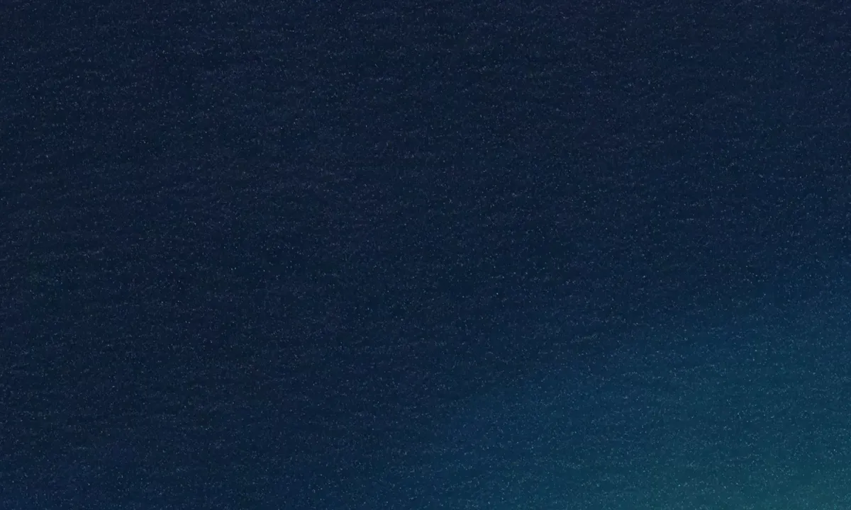 Flyfoto av Seppie