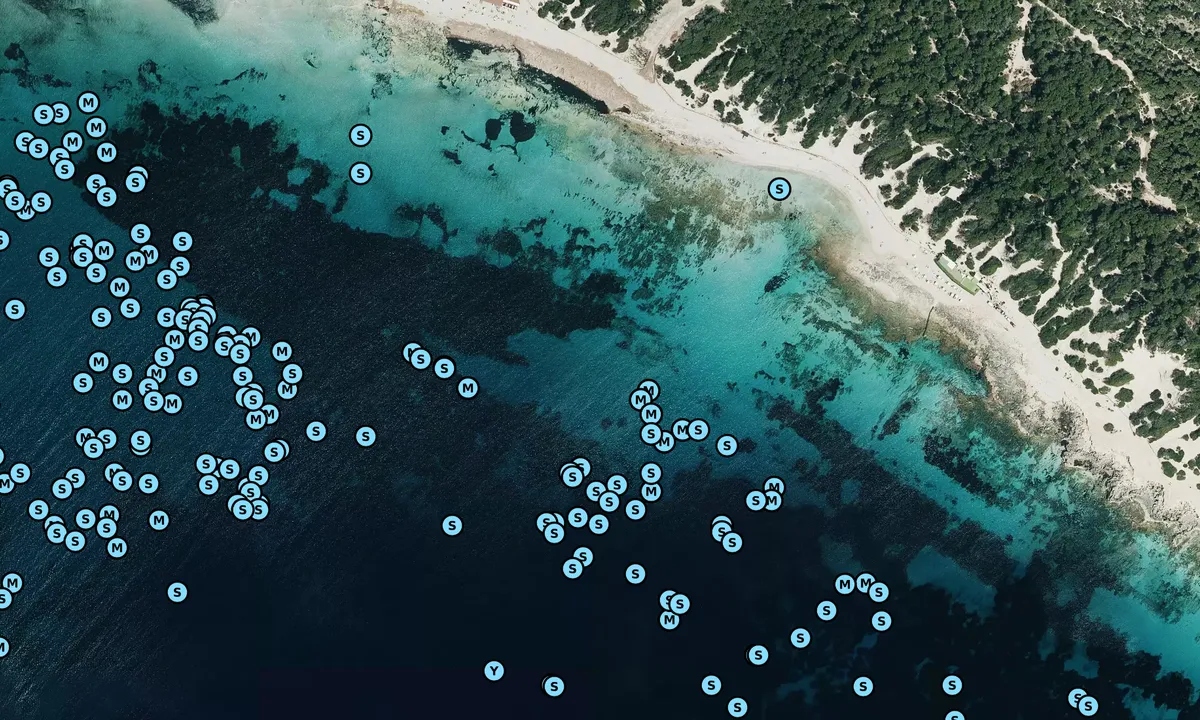 Satelite image of Ses Salines