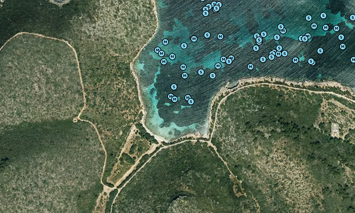 Satelite image of S'Espaumador