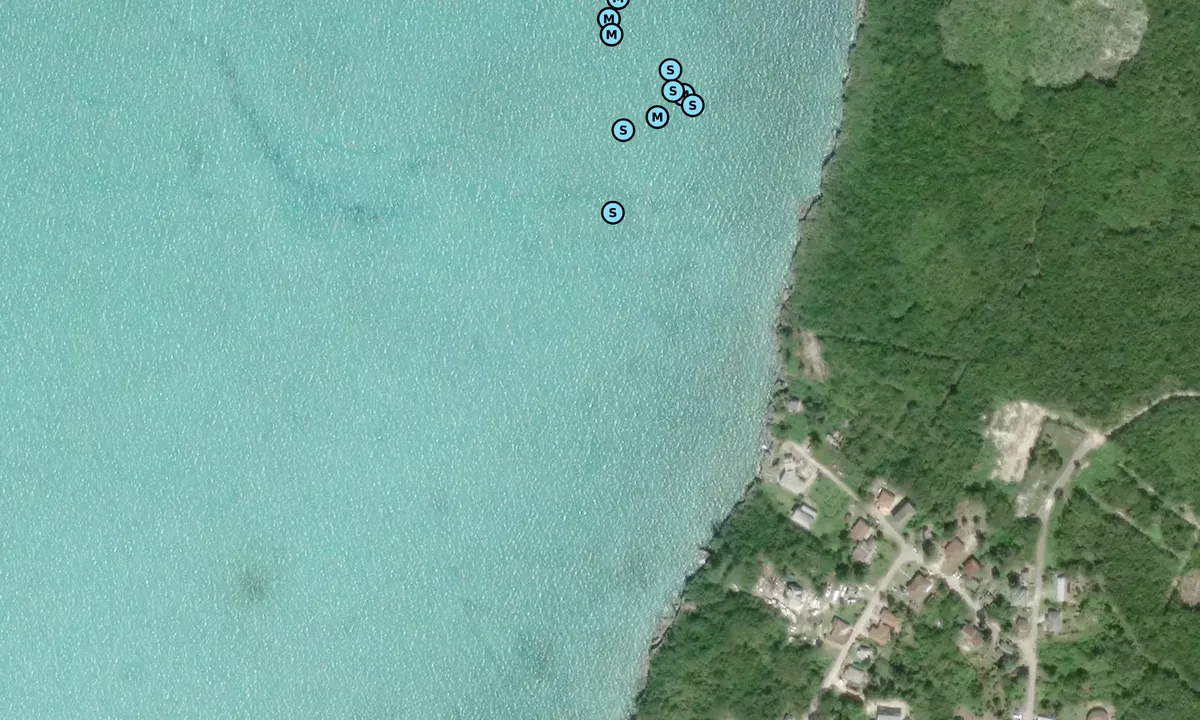 Satelite image of Settlement Bluff