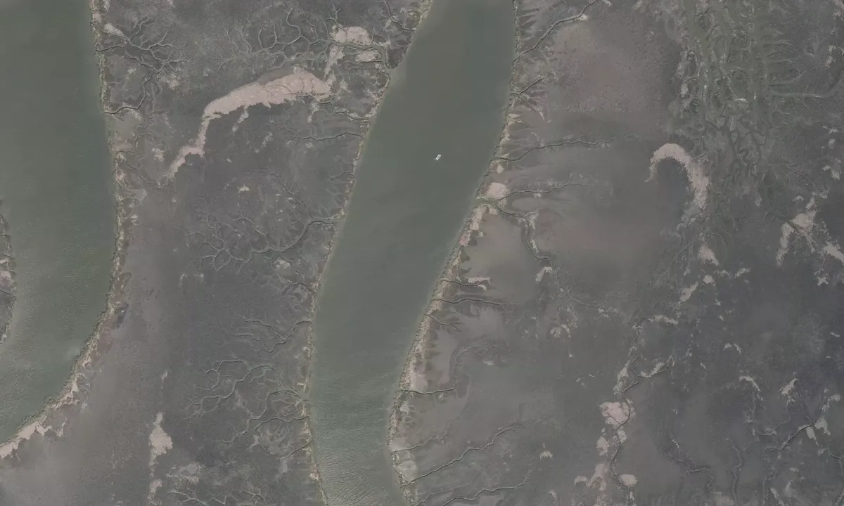 Satelite image of Shad River