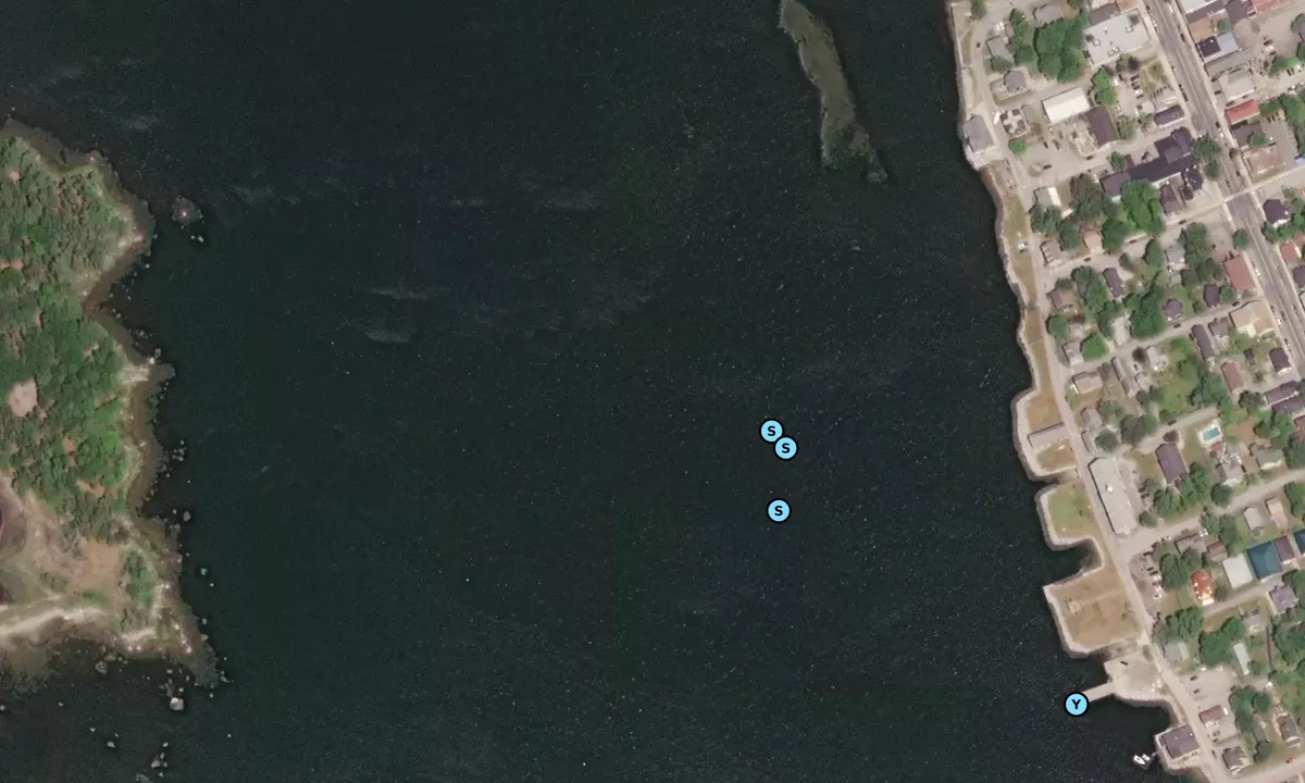 Satelite image of Shelburne Harbour