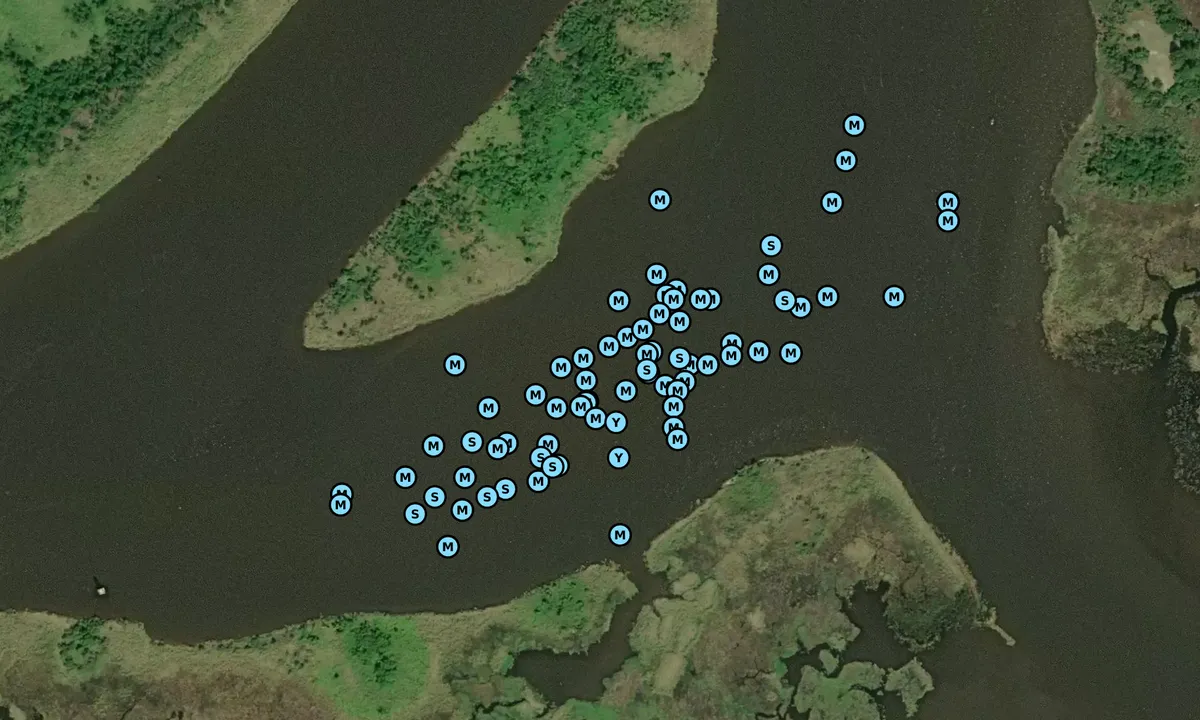 Satelite image of Shell Island