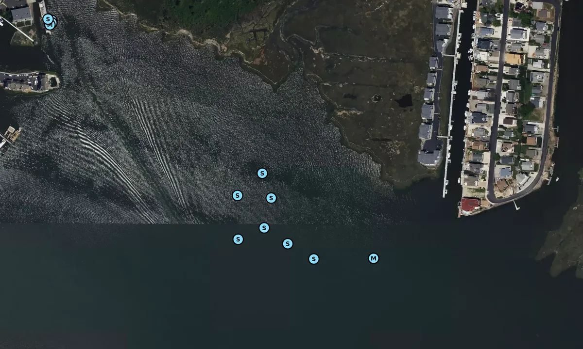 Satelite image of Ship Channel