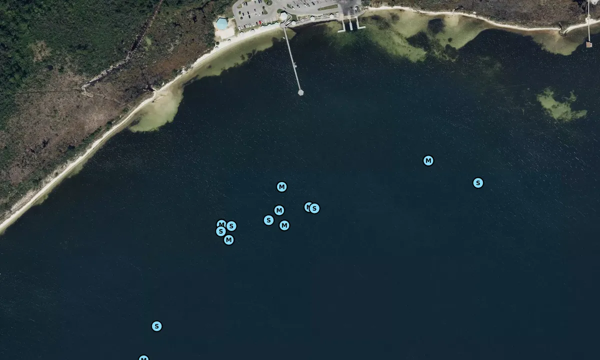 Satelite image of Shoreline