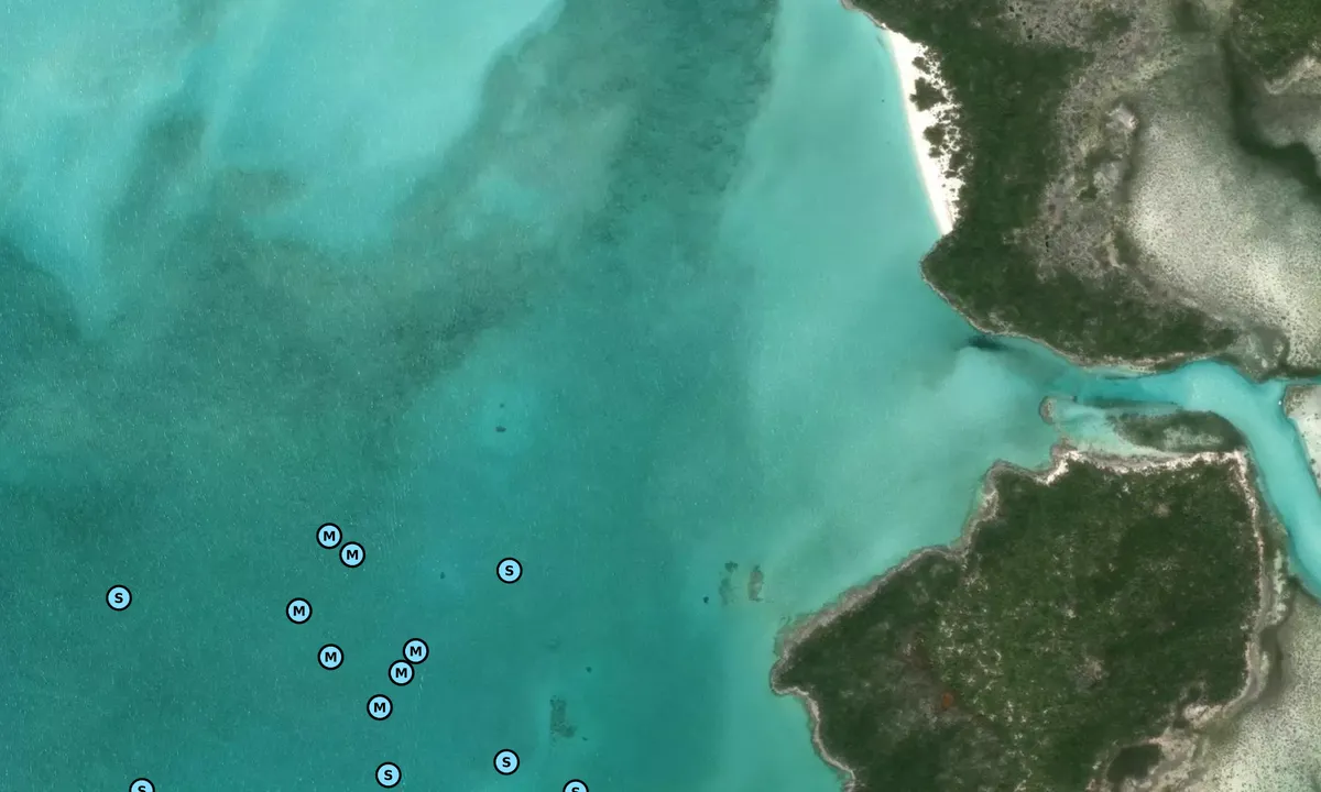 Satelite image of Shroud Cay Entrée Mangrove