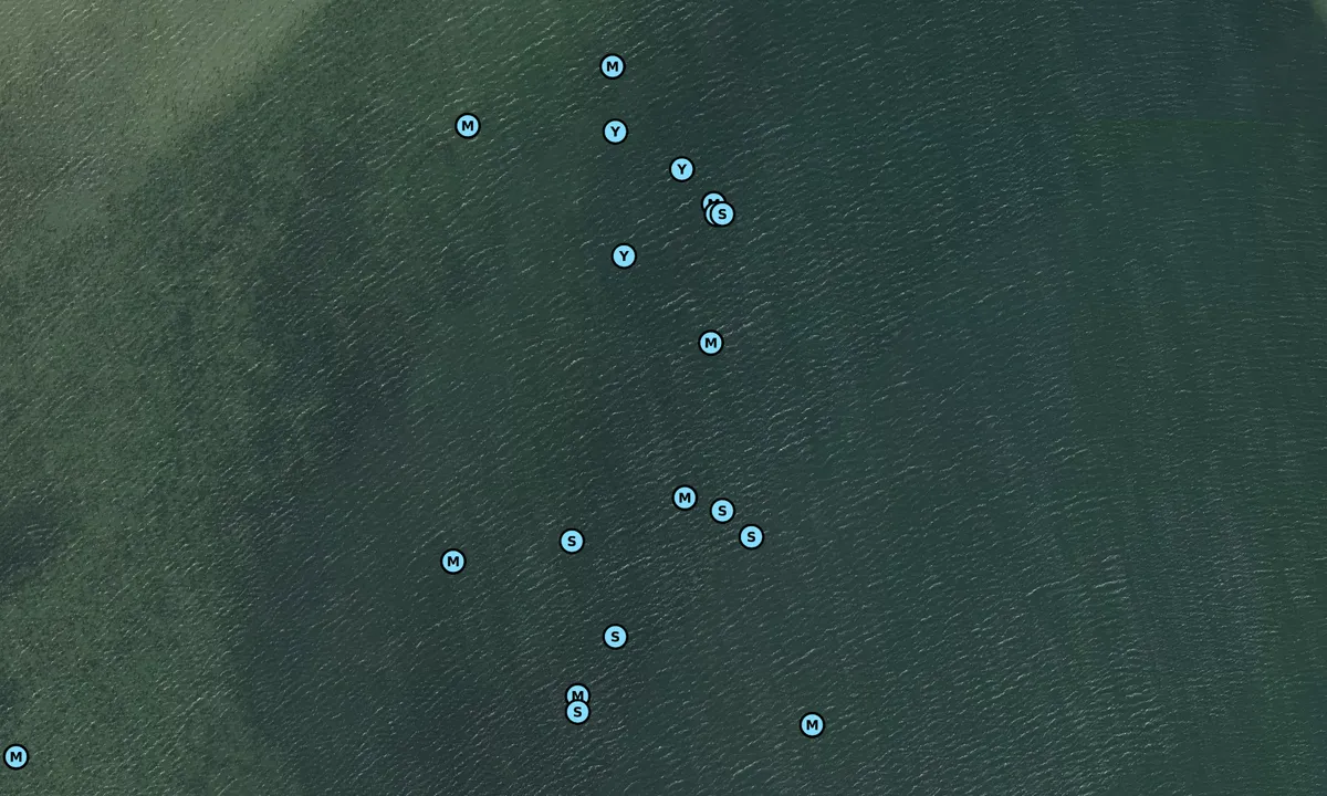 Satelite image of Sikken van Flakkee