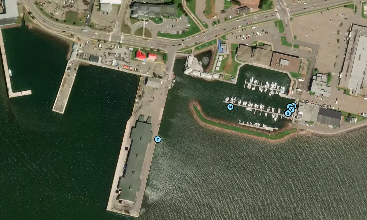 Satelite image of Silver Fox Curling and Yacht Club