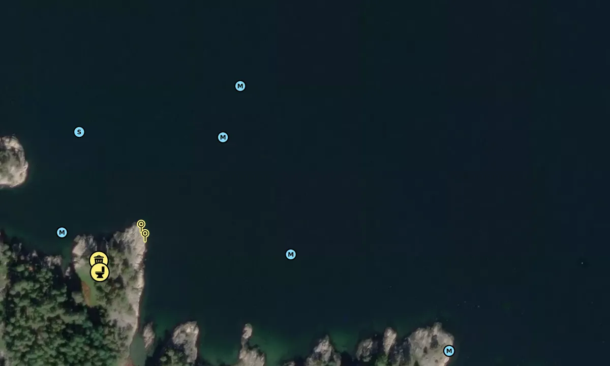 Satelite image of Singløya Nord Øst