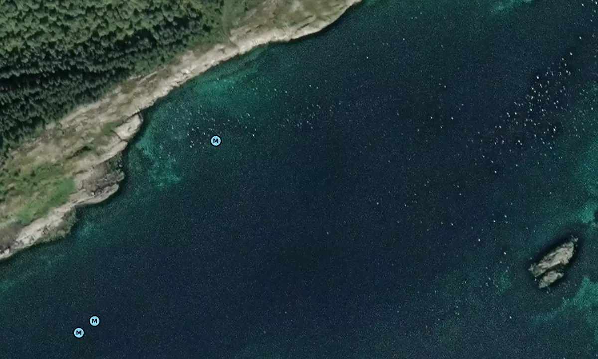 Satelite image of Skagavågen