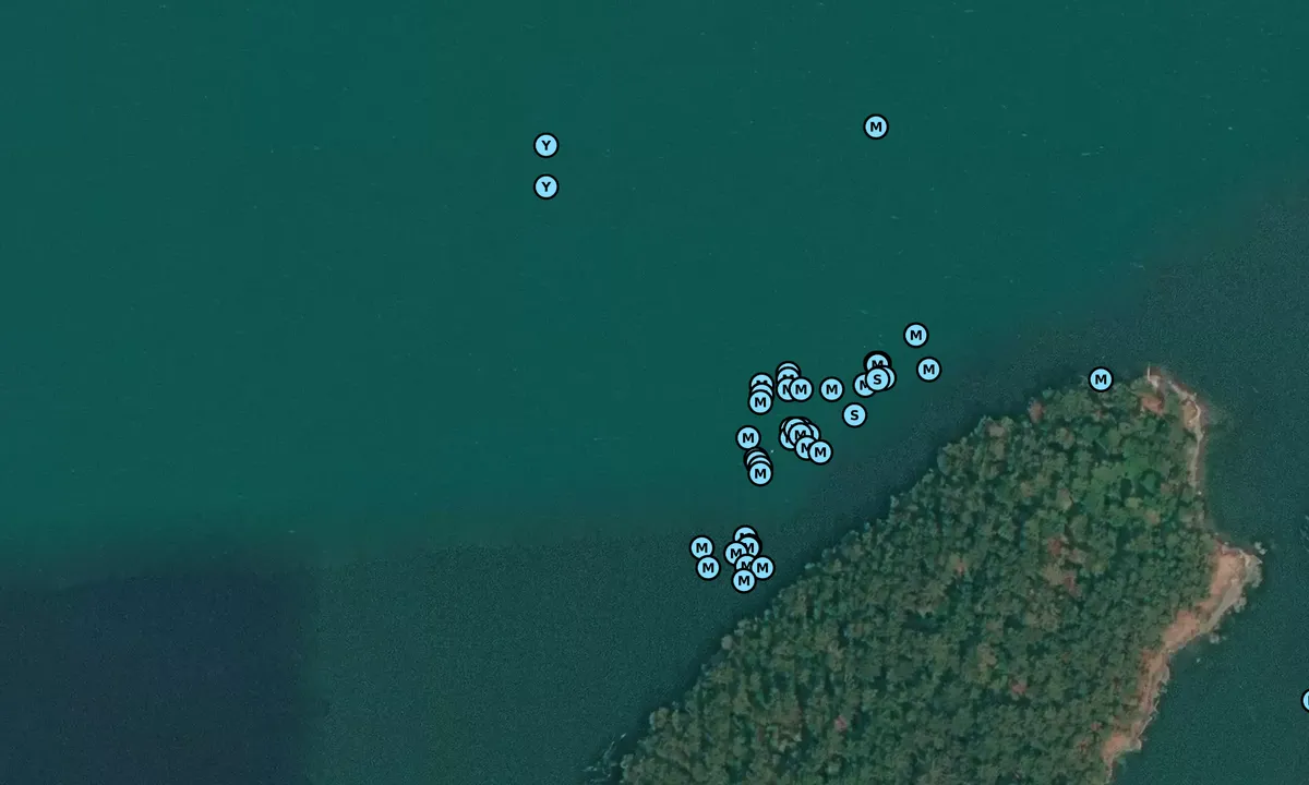 Satelite image of Skagit Island NW