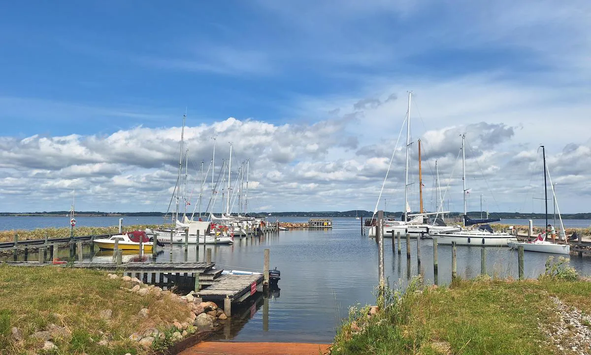 Skarø Havn