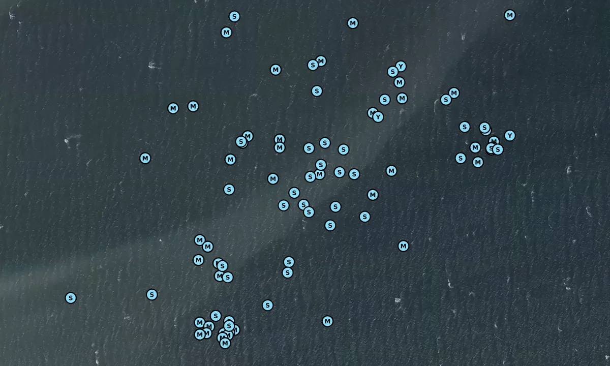 Satelite image of Skarø Rev bouy