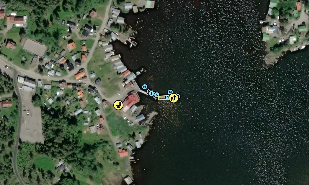 Satelite image of Skärså