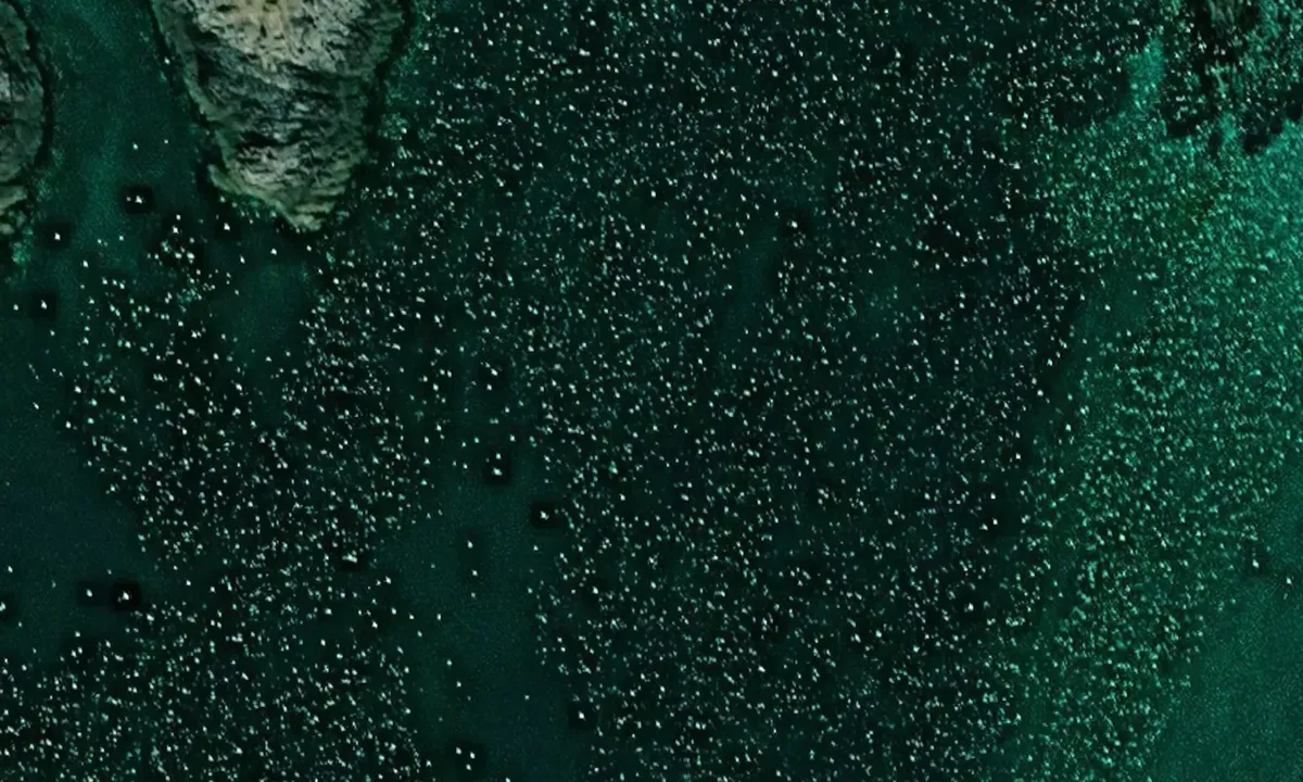 Satelite image of Skjåholmen