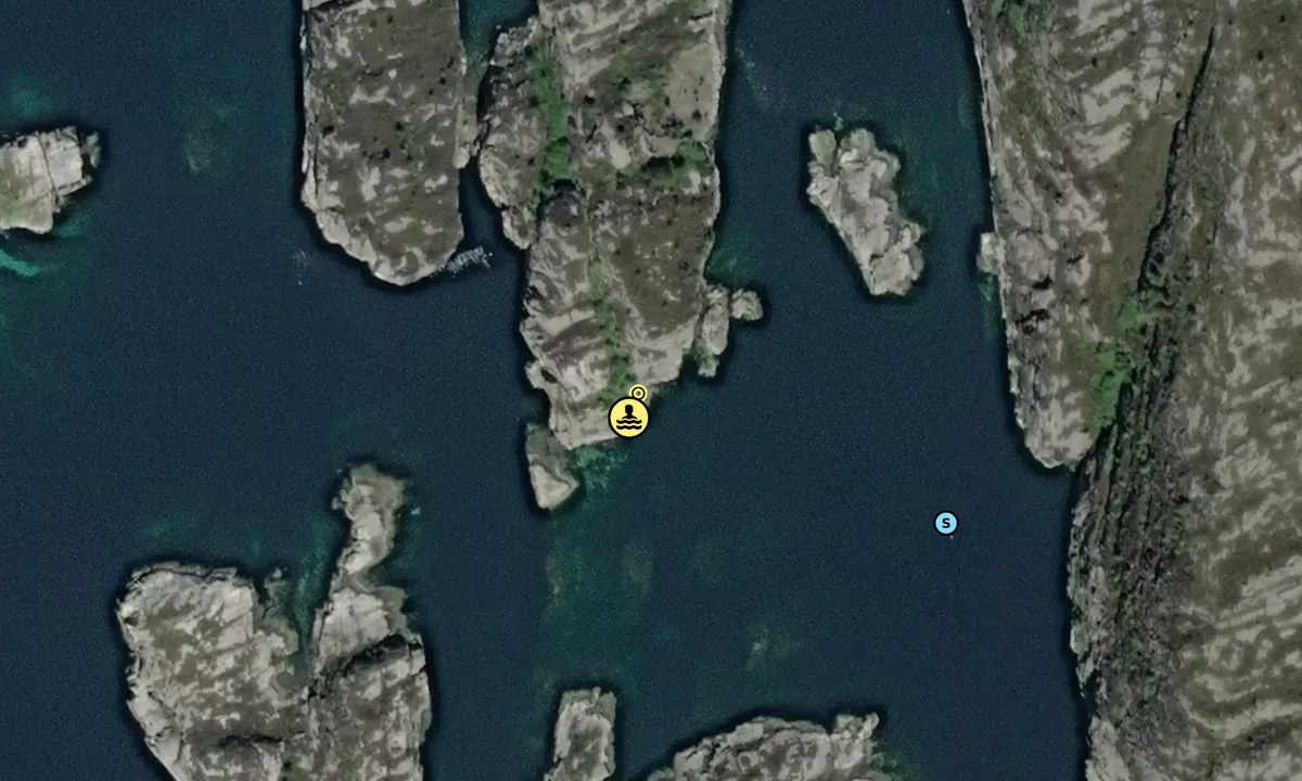 Satelite image of Skogholmen sør