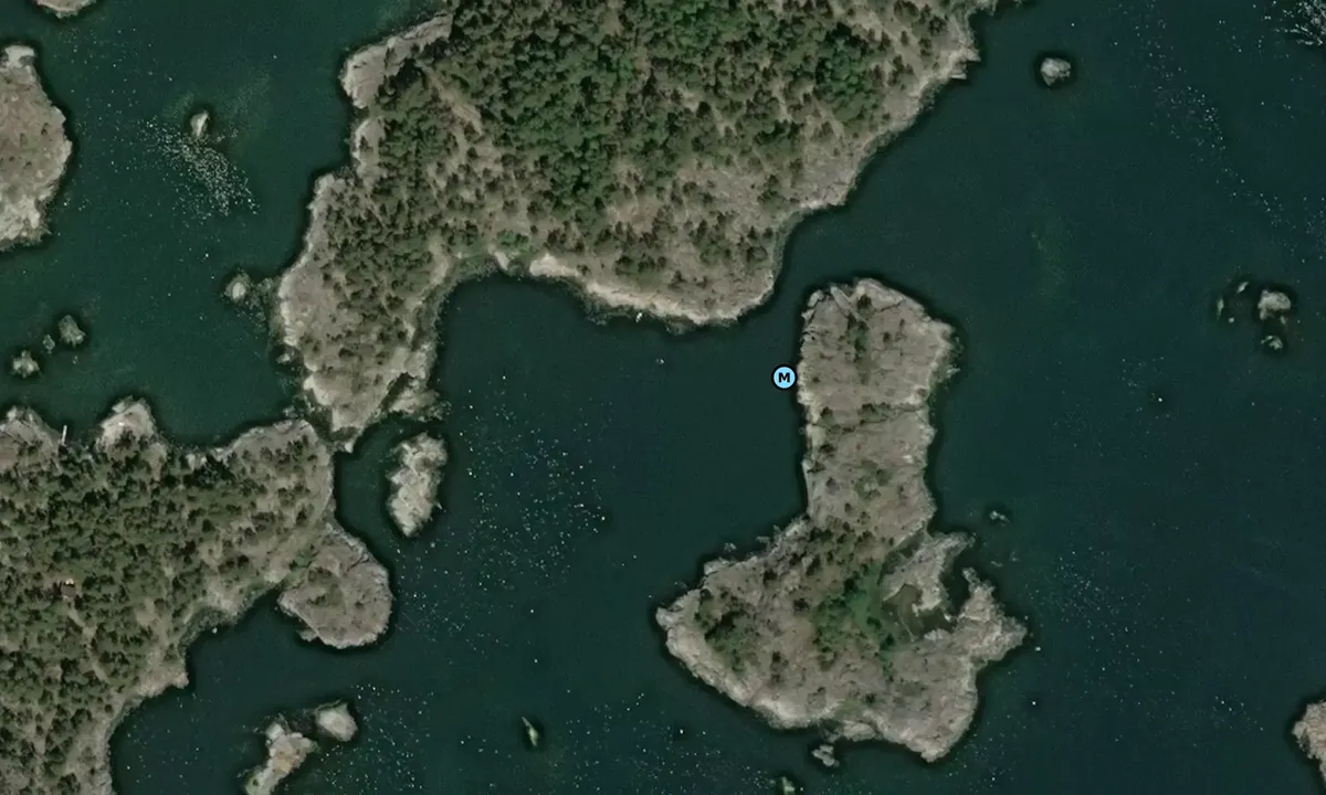 Flyfoto av Skogsbirkskär