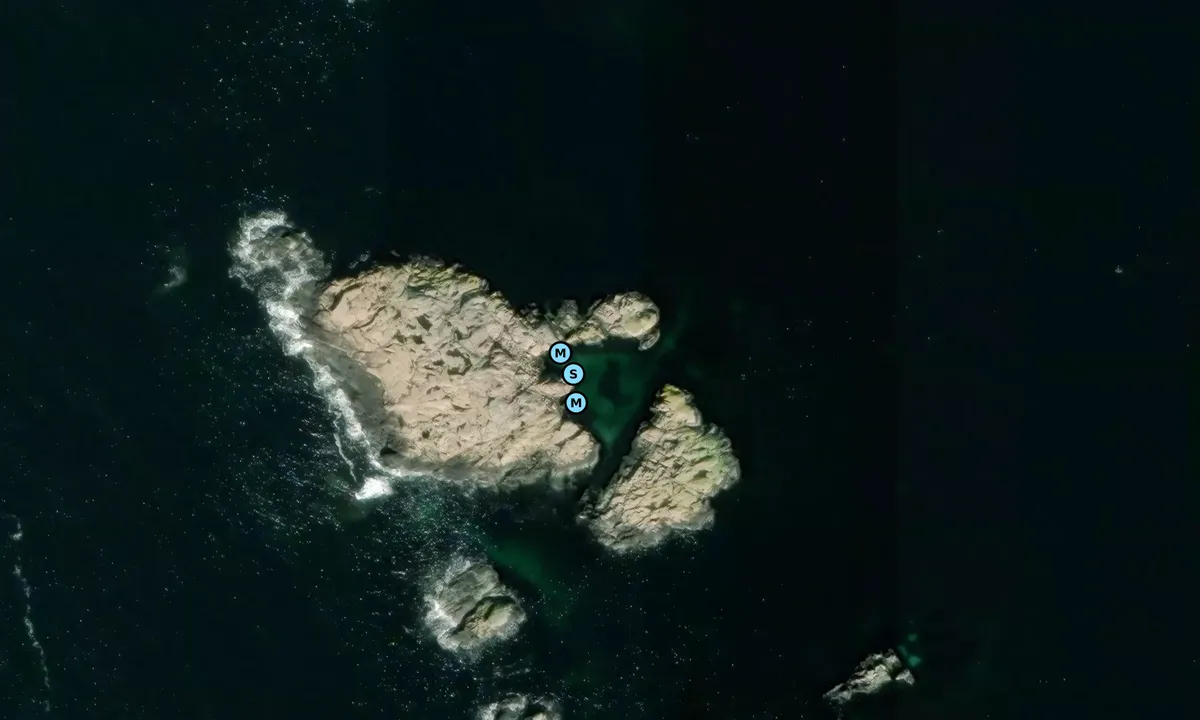 Satelite image of Skogskär