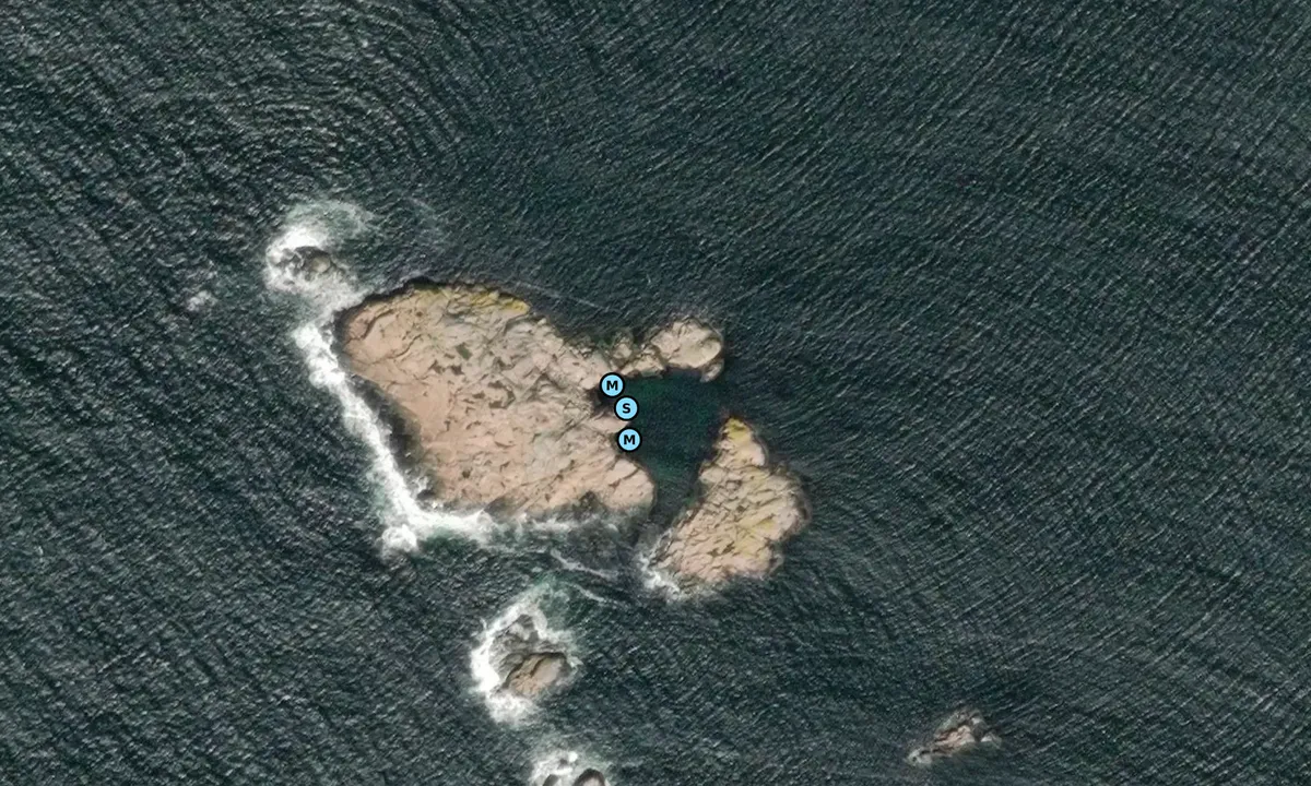 Satelite image of Skogskär