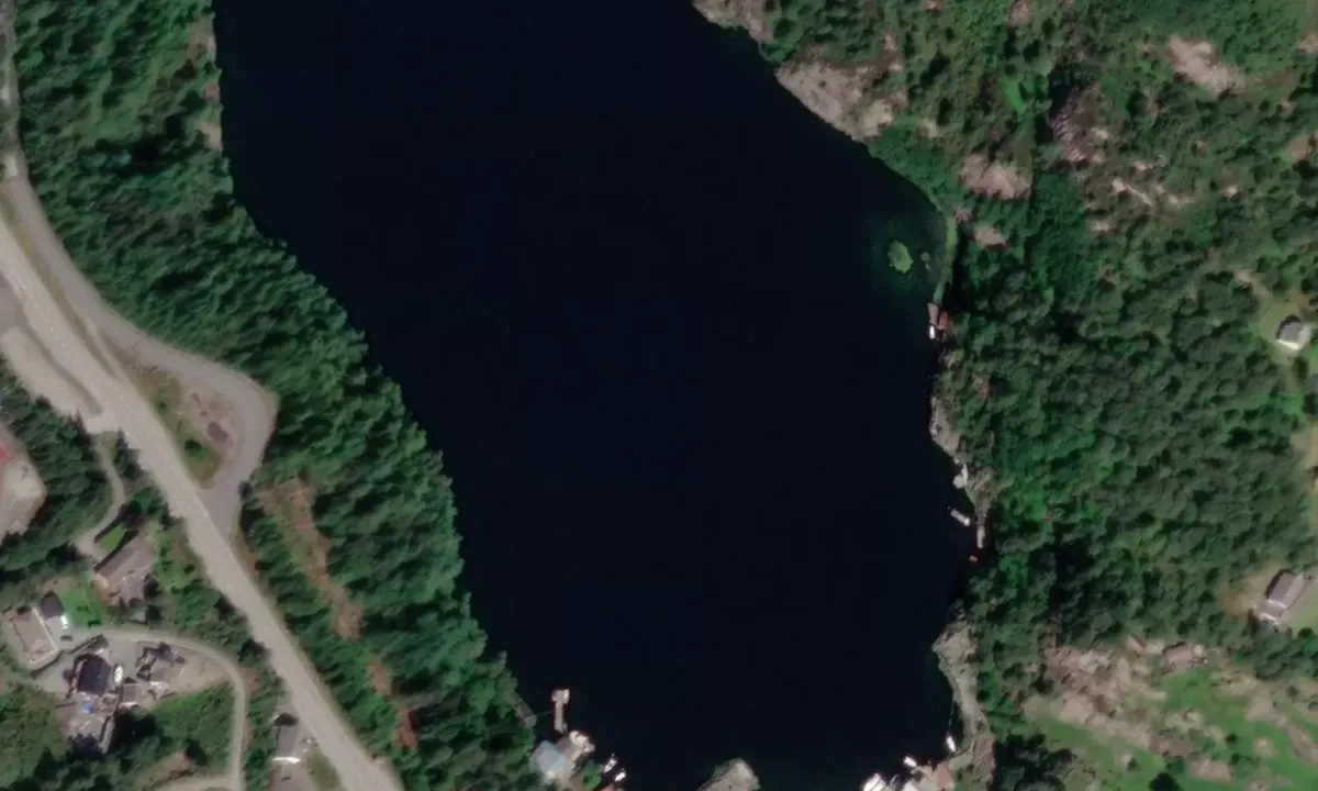 Satelite image of Skogsvågen