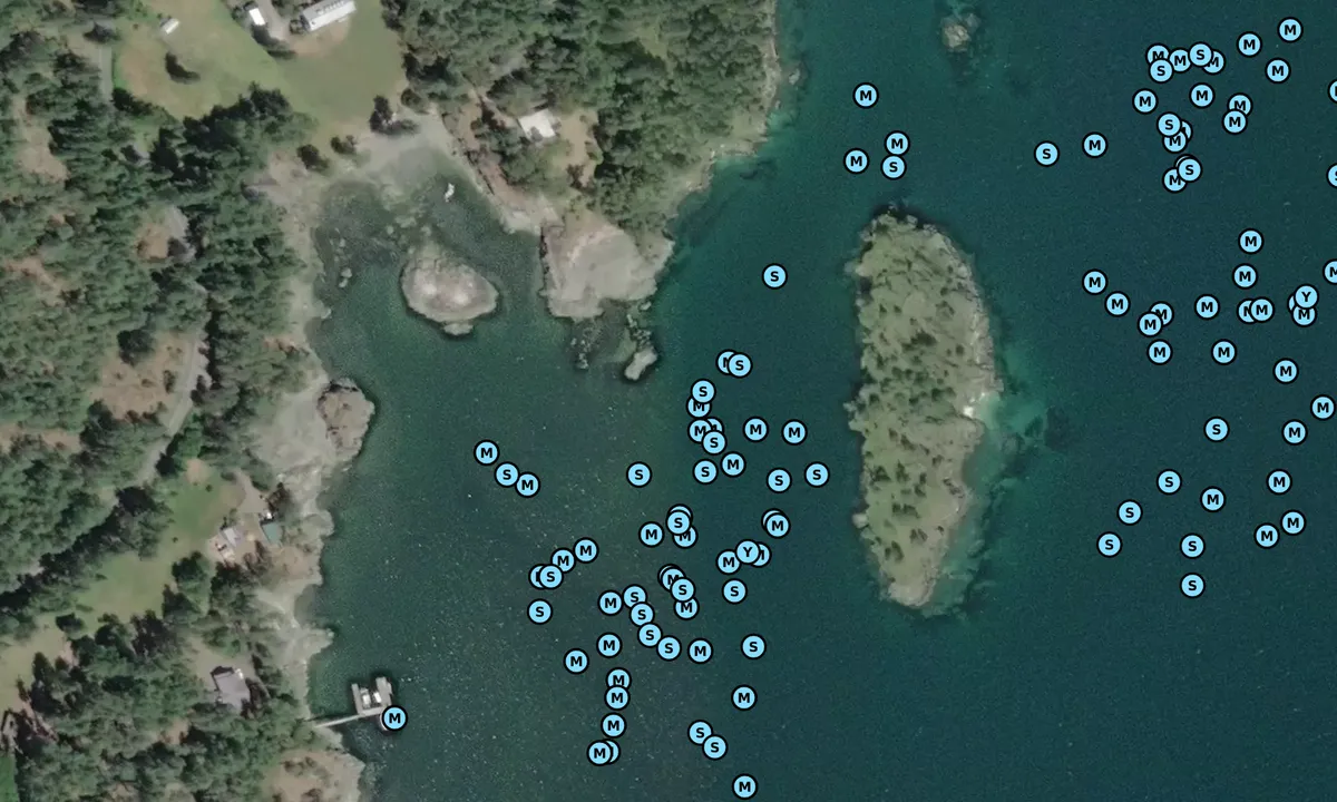 Satelite image of Skull Island State Park
